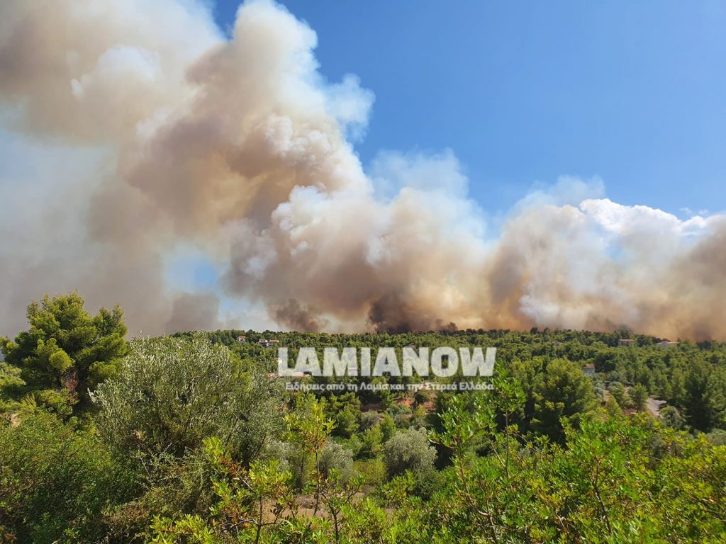 “Είναι εμπρησμός” – Τι καταγγέλλει ο δήμαρχος για τη φωτιά στο Θεολόγο (vids)
