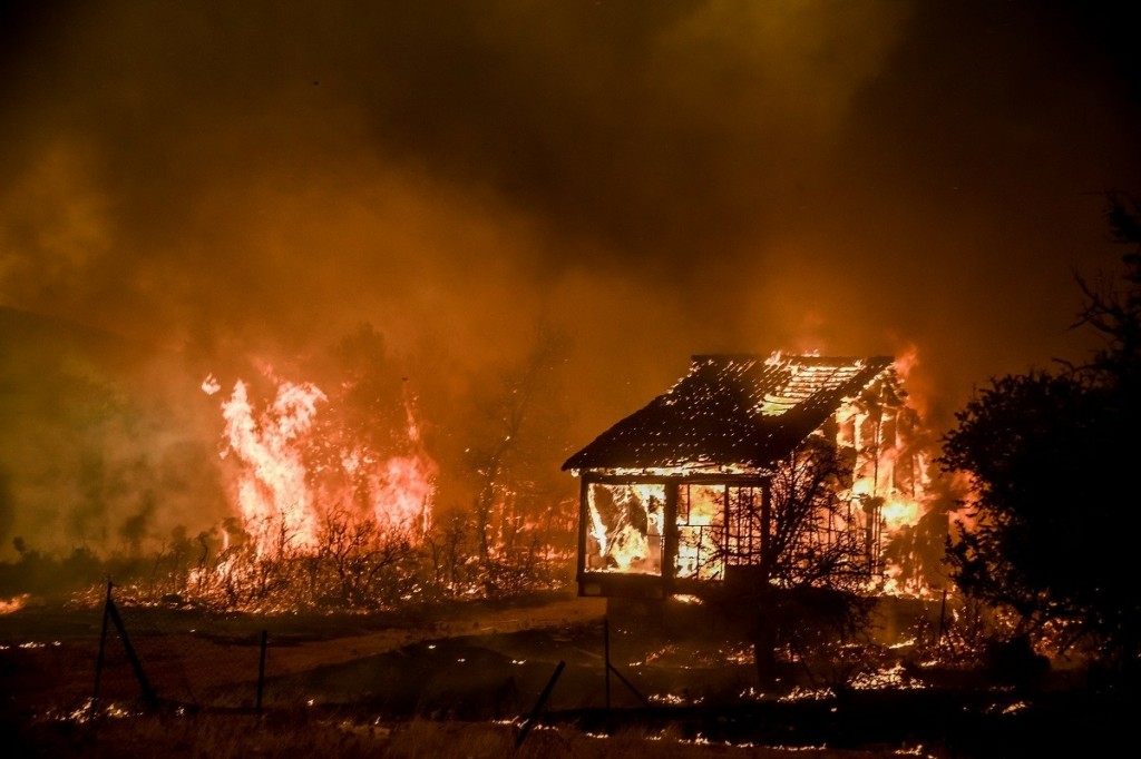 Χορήγηση 900.000 ευρώ σε συνεταιρισμούς και κέντρα περίθαλψης άγριας πανίδας στη Βόρεια Εύβοια