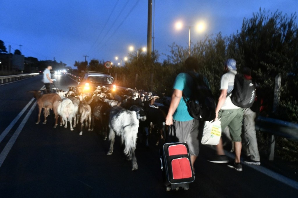 Συγκλονιστικές εικόνες – Άνθρωποι με τις βαλίτσες τους και τα ζώα τους εγκαταλείπουν τα σπίτια τους