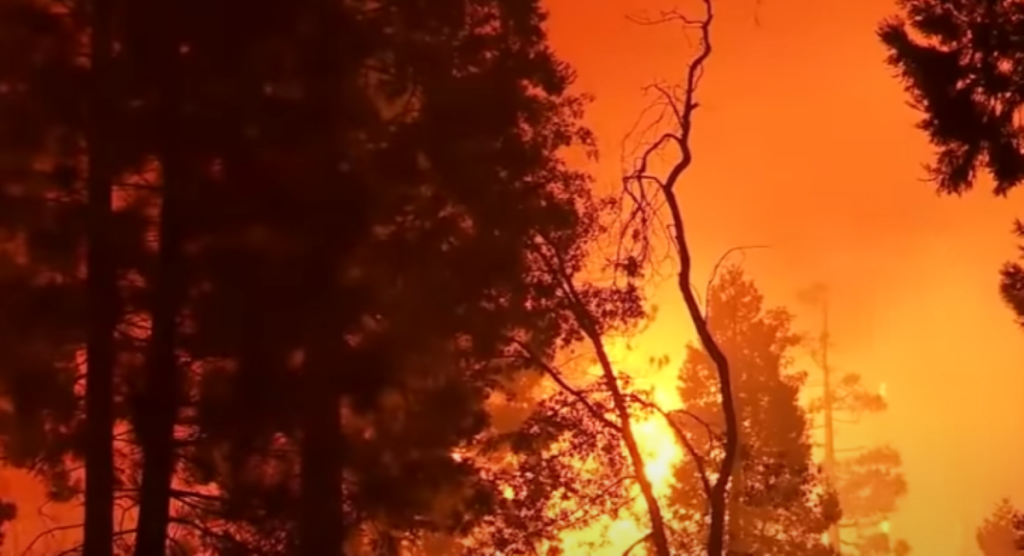 Στο έλεος της Caldor Fire η Καλιφόρνια – Οκταπλασίαστηκε μέσα σε ένα 24ωρο η έκταση της φωτιάς (vid)
