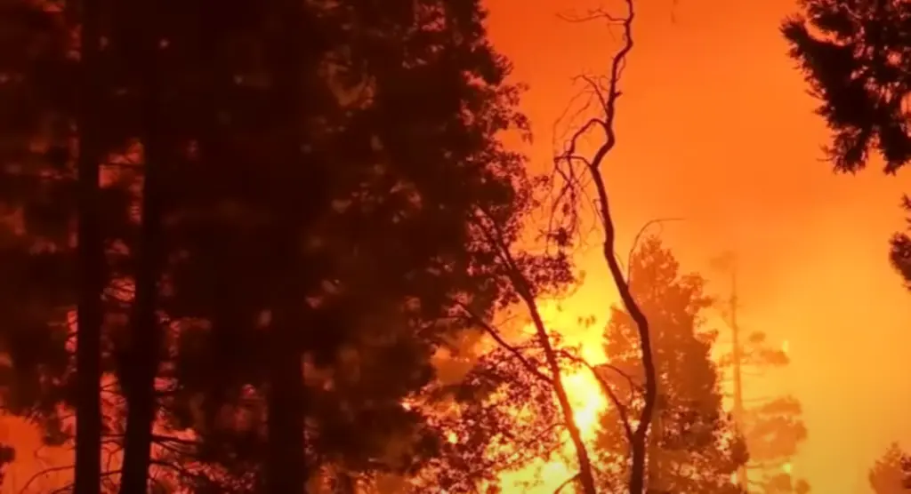 Στο έλεος της Caldor Fire η Καλιφόρνια – Οκταπλασίαστηκε μέσα σε ένα 24ωρο η έκταση της φωτιάς (vid)