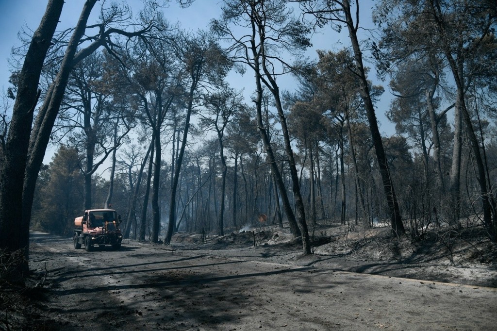 Αυτό είναι εθνική τραγωδία – Εκατοντάδες χιλιάδες τα καμένα στρέμματα (pics)