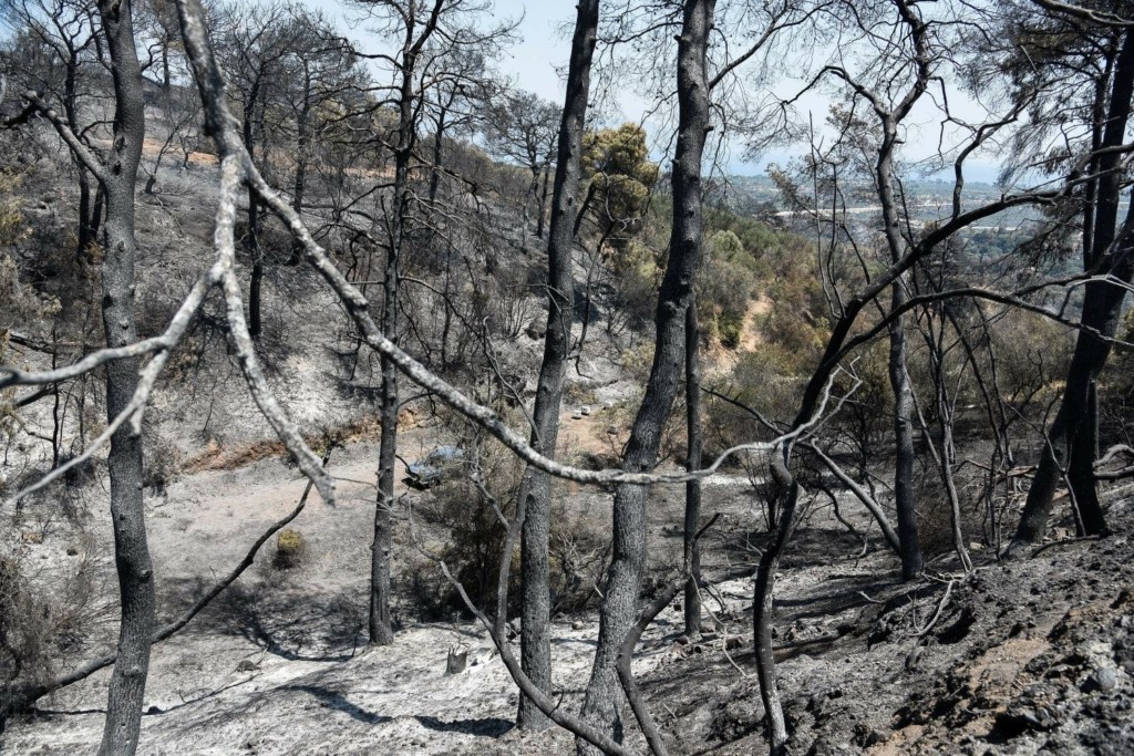 Κυβερνητικό κλιμάκιο την Τρίτη στην Πάτρα για την αποτίμηση των καταστροφών της μεγάλης φωτιάς