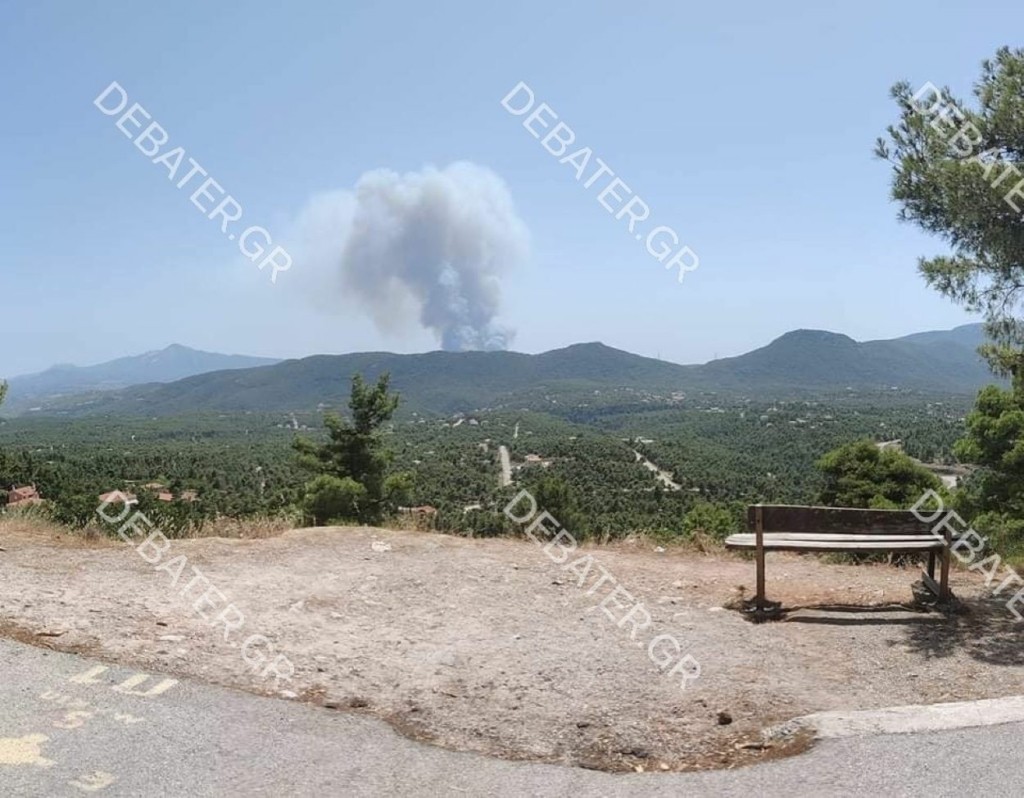 Εκκενώθηκε κατασκήνωση στη Βαρυμπόμπη – Οι πυκνοί καπνοί απείλησαν τα παιδιά