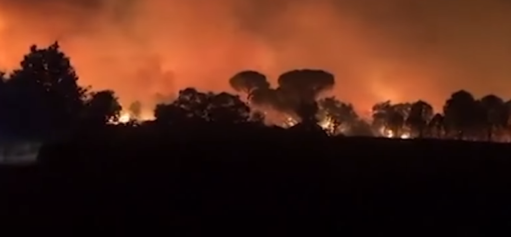 Ένας νεκρός από την φονική πυρκαγιά στο Σεν Τροπέ – Εκτός ελέγχου η κατάσταση (vid)