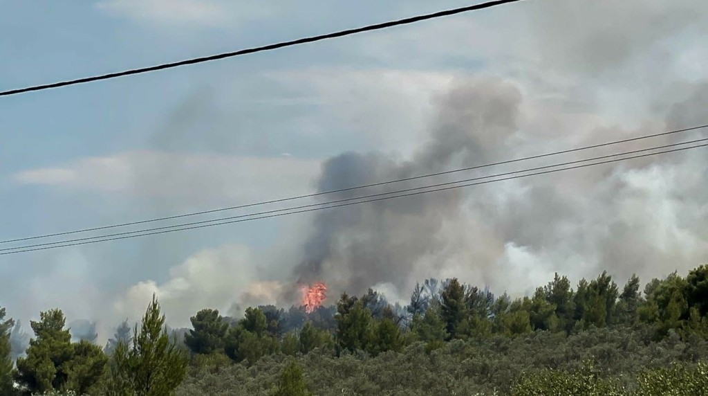 Νέα φωτιά τώρα στη Νότια Εύβοια