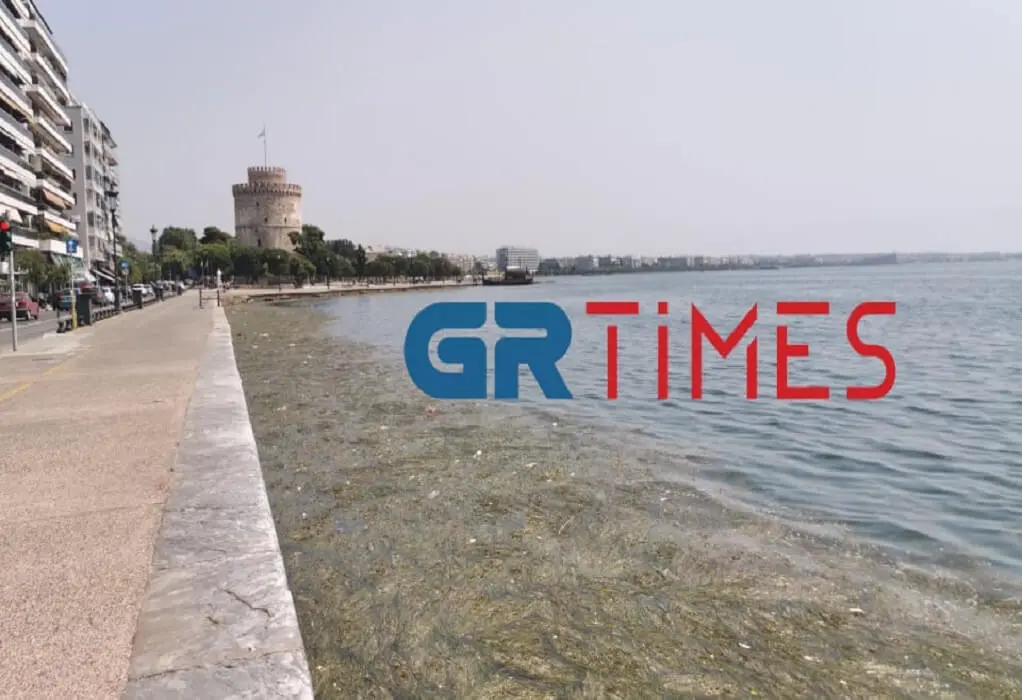 Βούρκος ο Θερμαϊκός – Γέμισε ξανά νεκρά πτηνά, σκουπίδια και φύκια (pics&vid)