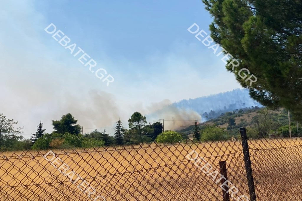 Στις φλόγες τυλίχτηκαν σπίτια στα Βίλια – Ο πύρινος “δαίμονας” απειλεί για μια ακόμη φορά την περιοχή