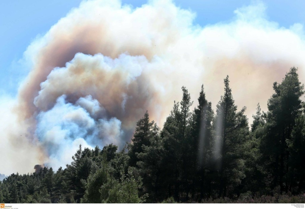 Συνεχίζει να καίει η φωτιά στην Κασσάνδρα Χαλκιδικής – Επιχειρεί από αέρα ένα αεροσκάφος (vids)