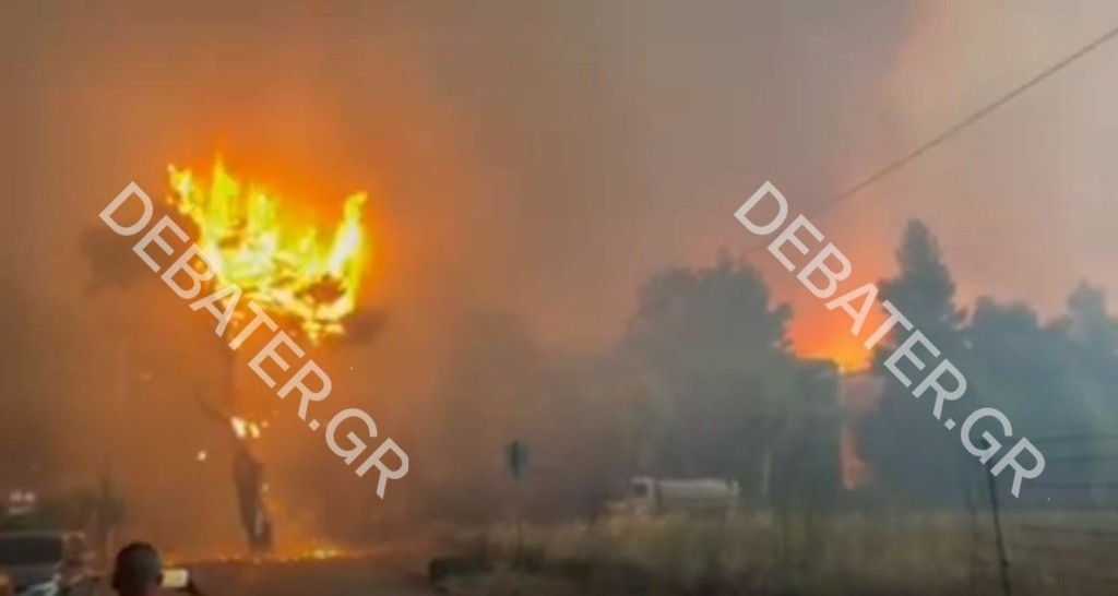Η απόκοσμη εικόνα ενός δέντρου στις Αδάμες που “κλαίει” φωτιά (vid)