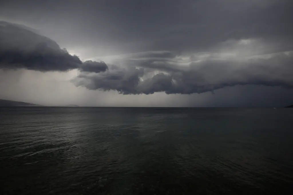 Η κακοκαιρία χτύπησε αλύπητα την Εύβοια – Έπεσαν δέντρα, διακόπηκε το ρεύμα (pics)