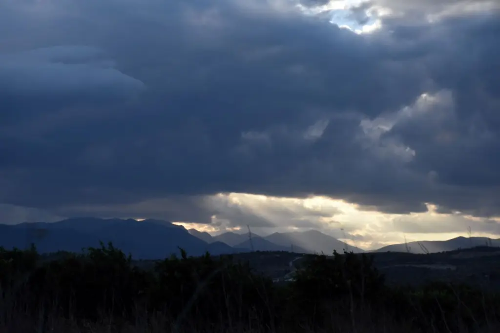 Ξαφνικό μπουρίνι σε περιοχές της Θεσσαλονίκης – Οι ισχυροί άνεμοι “σήκωσαν” δέντρα και πινακίδες (pics&vid)