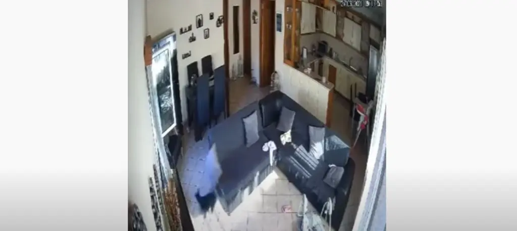 Μικρό σκυλάκι παθαίνει πανικό την ώρα του σεισμού στην Κρήτη (vid)
