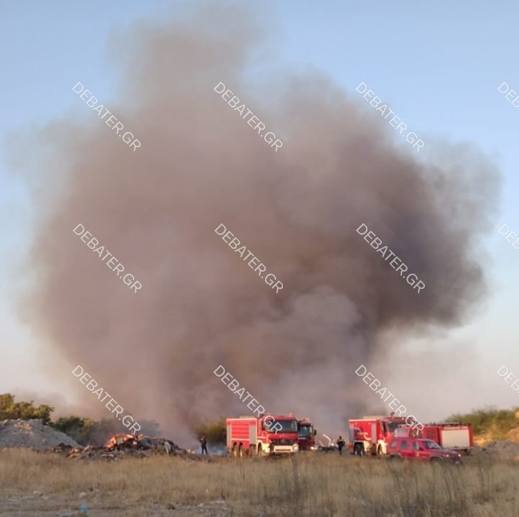Yπό έλεγχο η πυρκαγιά στον Ελαιώνα (pic&vid)