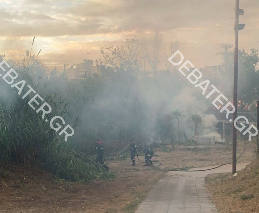 Φωτιά σε ρέμα στον Άγιο Δημήτριο (pics&vid)