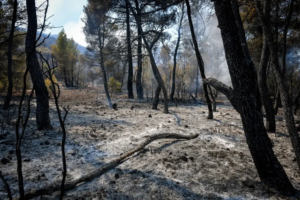 Τράπεζα Πειραιώς: Δωρεά ύψους 3 εκατ. ευρώ για την αποκατάσταση της Πάρνηθας