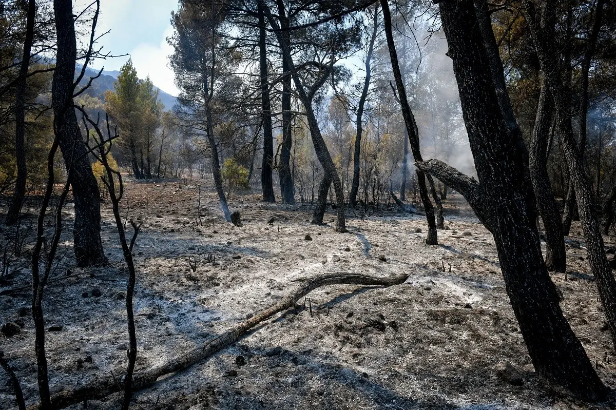 Τράπεζα Πειραιώς: Δωρεά ύψους 3 εκατ. ευρώ για την αποκατάσταση της Πάρνηθας