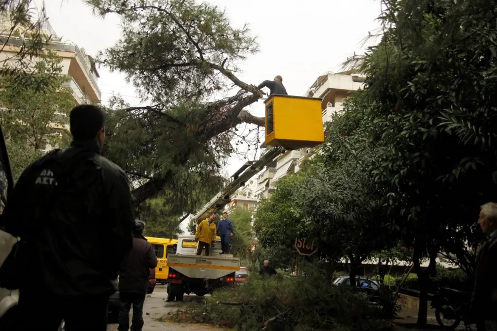 Διευκολύνεται η διαδικασία για κλαδεύσεις και απομακρύνσεις δέντρων σε ιδιωτικές εκτάσεις εκτός οικισμών