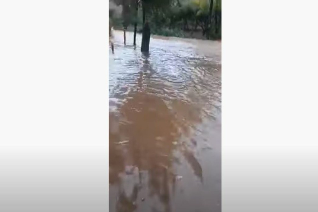 Φούσκωσε ποτάμι στην Εύβοια – Πλημμύρισαν δεκάδες σπίτια (vid)