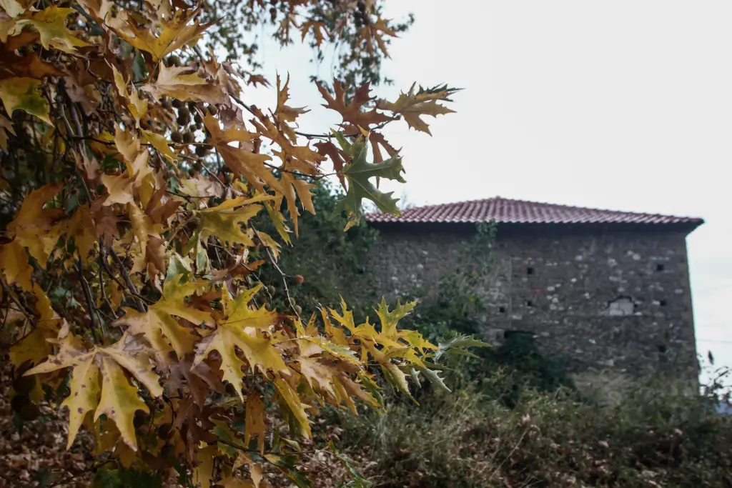 “Τα δόντια του δείχνει” ο καιρός την Πέμπτη – Βροχές, καταιγίδες και χαλάζι