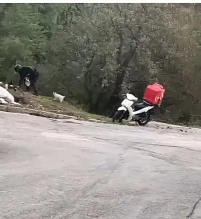 Ο viral διανομέας που σταματάει με το μηχανάκι του κάθε μέρα και ταΐζει γατάκια (vid)
