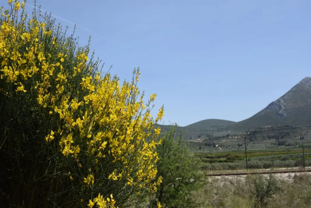Αλλάζει ο καιρός και γίνεται ξανά ανοιξιάτικος