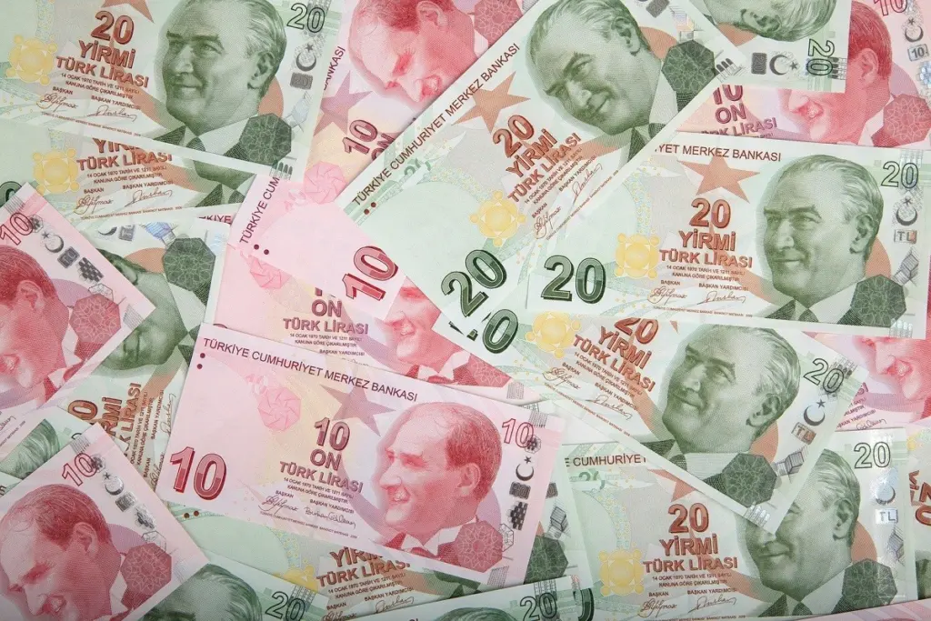 Σε ιστορικά χαμηλά η τουρκική λίρα μετά την απόφαση Ερντογάν να απελάσει 10 πρέσβεις