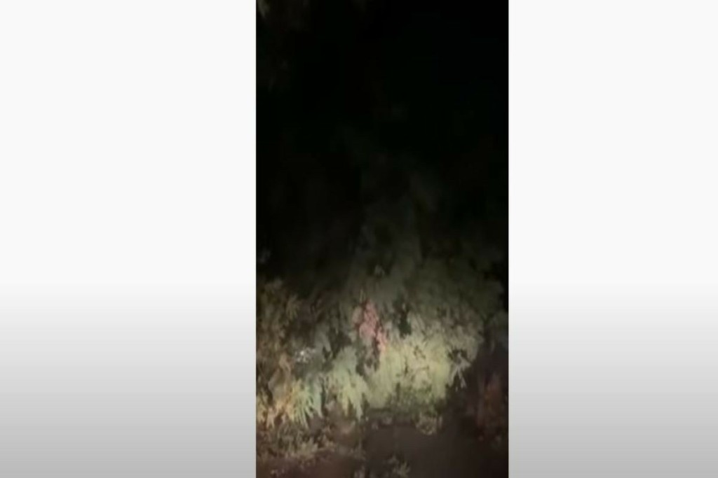 Η κακοκαιρία έχει αρχίσει να “χτυπά” την Κορινθία – Δέντρα έπεσαν στη μέση του δρόμου (vid)
