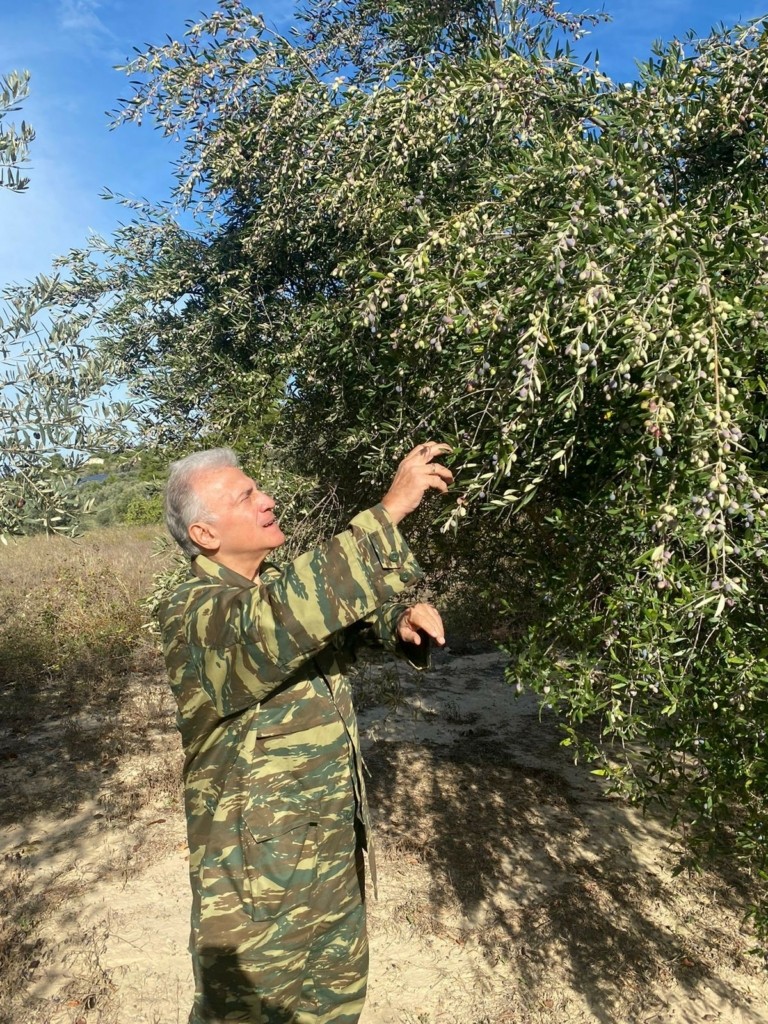 Παναγιώτης Ψωμιάδης