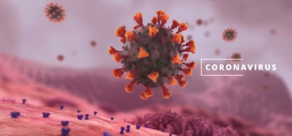 Πώς τα εμβόλια mRNA “μαθαίνουν” τα κύτταρα να νικούν τον κορονοϊό – Εντυπωσιακό βίντεο