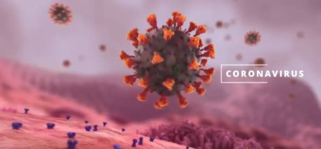 Πώς τα εμβόλια mRNA “μαθαίνουν” τα κύτταρα να νικούν τον κορονοϊό – Εντυπωσιακό βίντεο