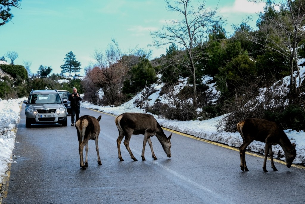 Ποιοι δρόμοι έχουν κλείσει στην Αττική λόγω της κακοκαιρίας