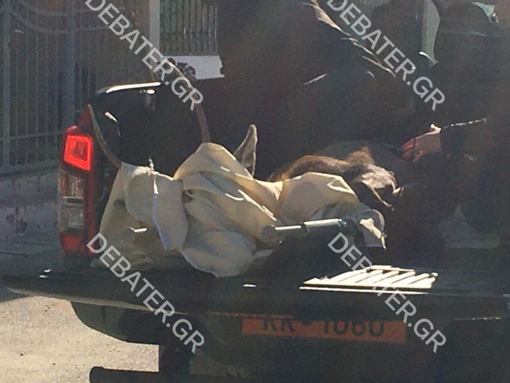 Αίσιο τέλος για την περιπέτεια του ελαφιού στο Μενίδι – Καρέ-καρέ η επιχείρηση μεταφοράς του (pics&vid)