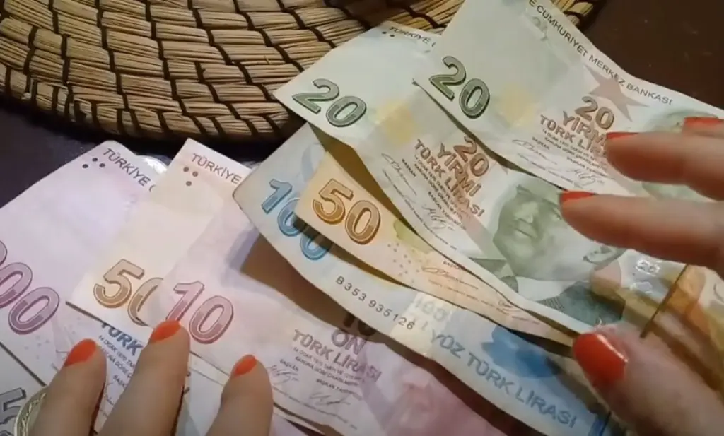 Συνεχίζεται η κατρακύλα της τουρκικής λίρας – “Μη βιώσιμη η πολιτική Ερντογάν”