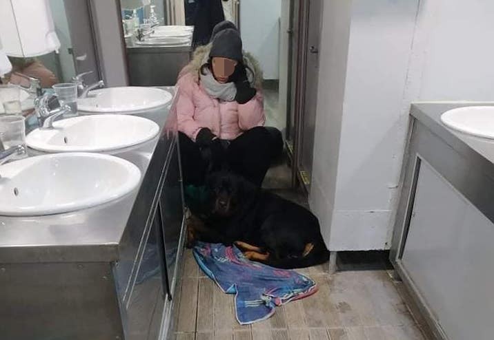 Απαράδεκτες εικόνες σε πλοίο από Σκόπελο για Βόλο – Ταξίδεψε για 5 ώρες κλειδωμένη στην παγωμένη τουαλέτα λόγω του σκύλου της (pic)