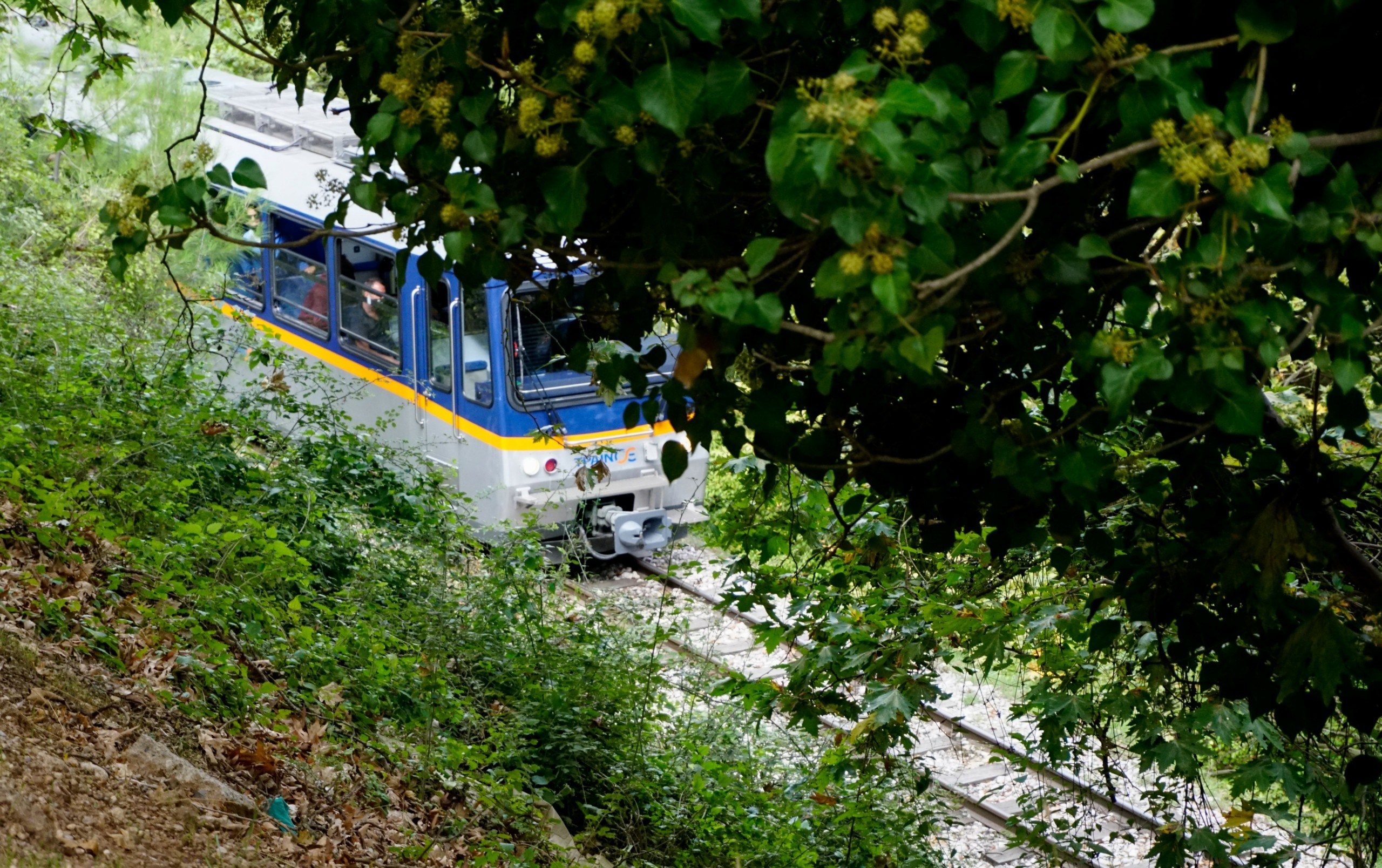 Διεκόπη το δρομολόγιο του Οδοντωτού στα Καλάβρυτα – Έπεσε βράχος στις γραμμές  (pic)