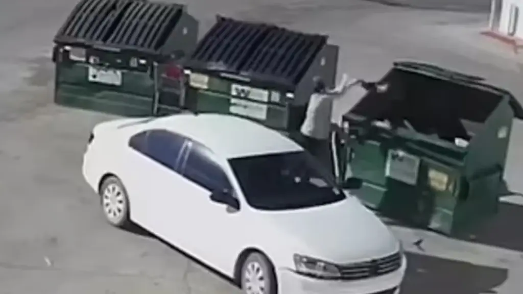 Βίντεο που κόβει την ανάσα – Μητέρα πετάει το νεογέννητο παιδί της σε σκουπιδοτενεκέ (vids)