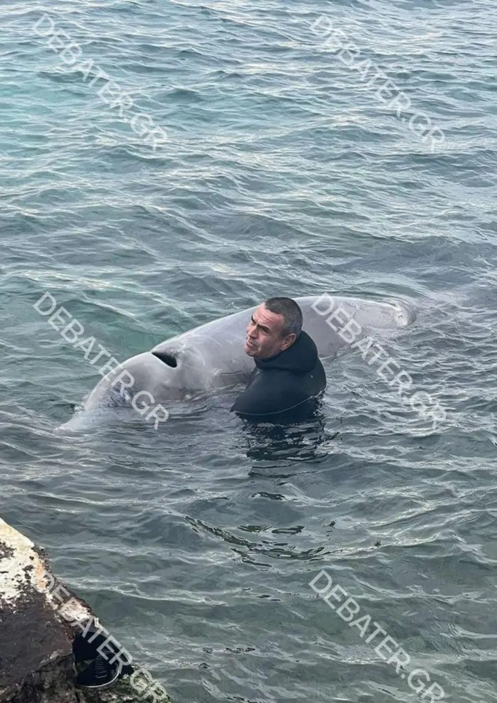 Αυτός ο λόγος οδήγησε στο θάνατο τον ζιφιό – Τι έδειξαν τα αποτέλεσμα της ιατροδικαστικής εξέτασης (vid)