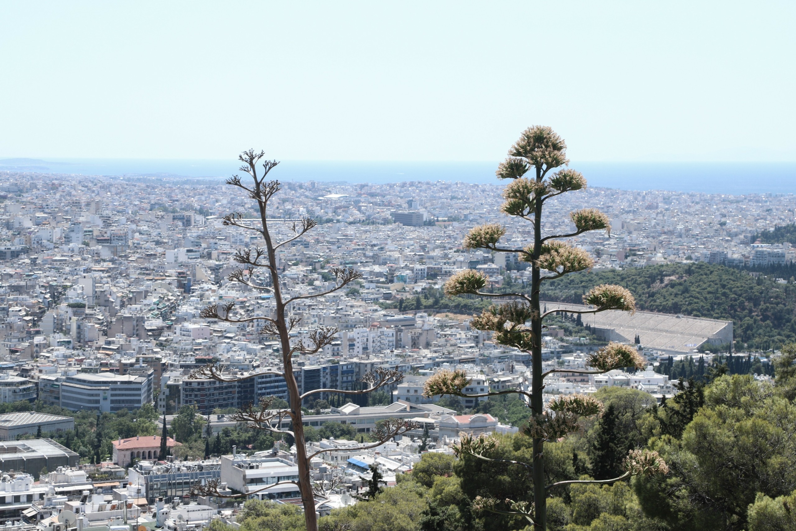 Ψηφιακά ραντεβού και στο Κτηματολόγιο – Σε λειτουργία το myKtimatologioLive
