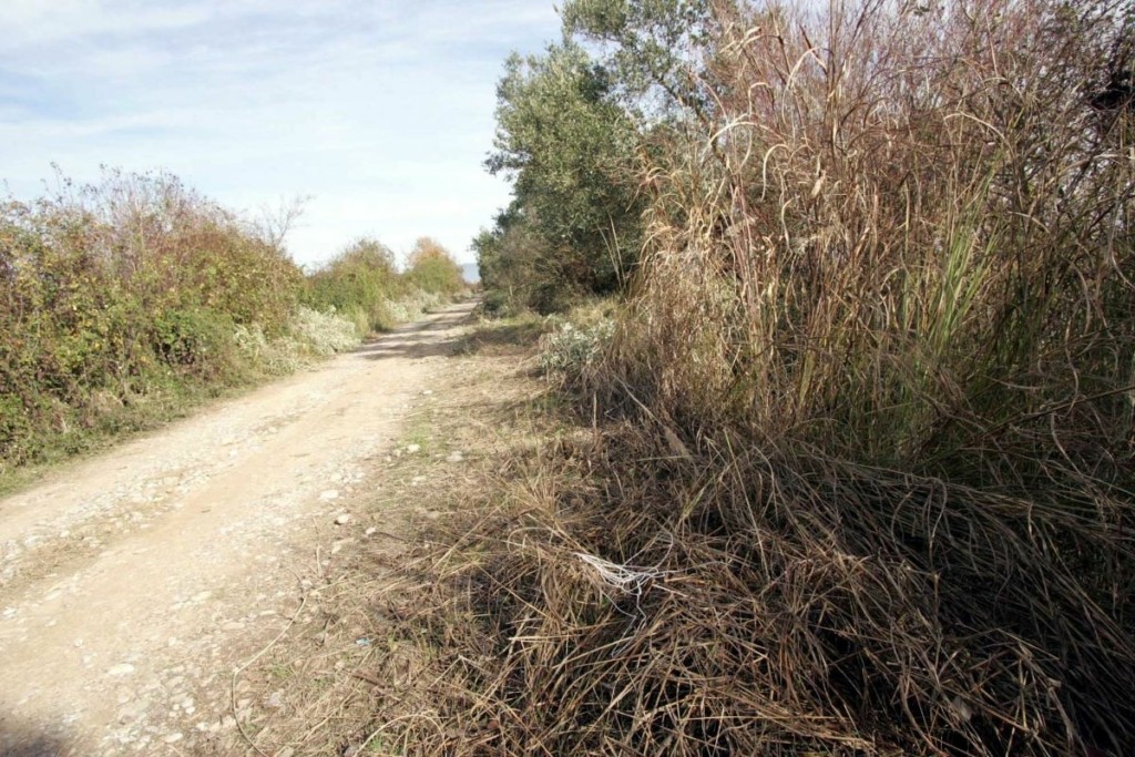Τραγωδία στις Σέρρες – Κυνηγός μπέρδεψε άνδρα με θήραμα και τον σκότωσε