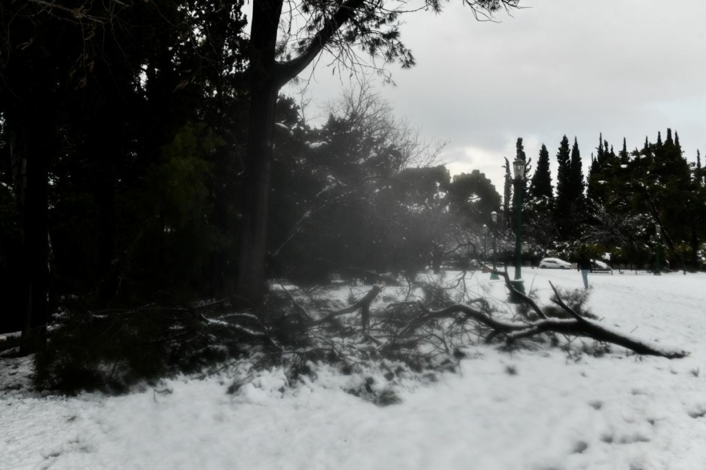 Η στιγμή που υπόστεγο καταρρέει από το χιόνι και πέφτει πάνω στα μηχανάκια της ΔΙΑΣ (vid)