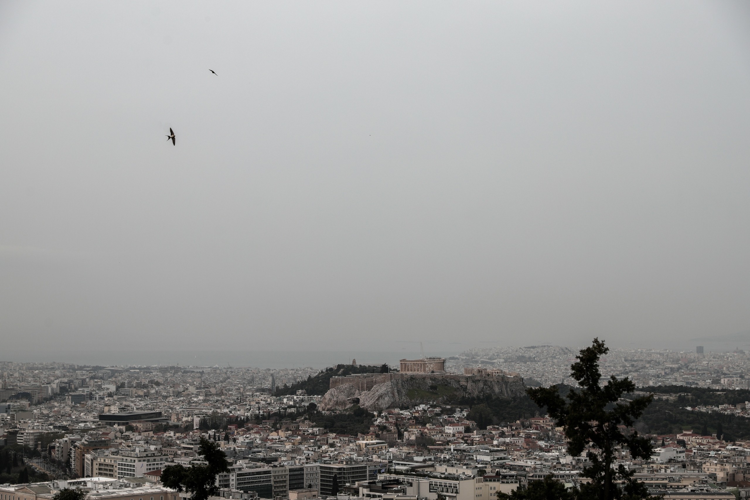 Η αφρικανική σκόνη “πνίγει” τη χώρα – Στους 22 βαθμούς θα “σκαρφαλώσει” ο υδράργυρος