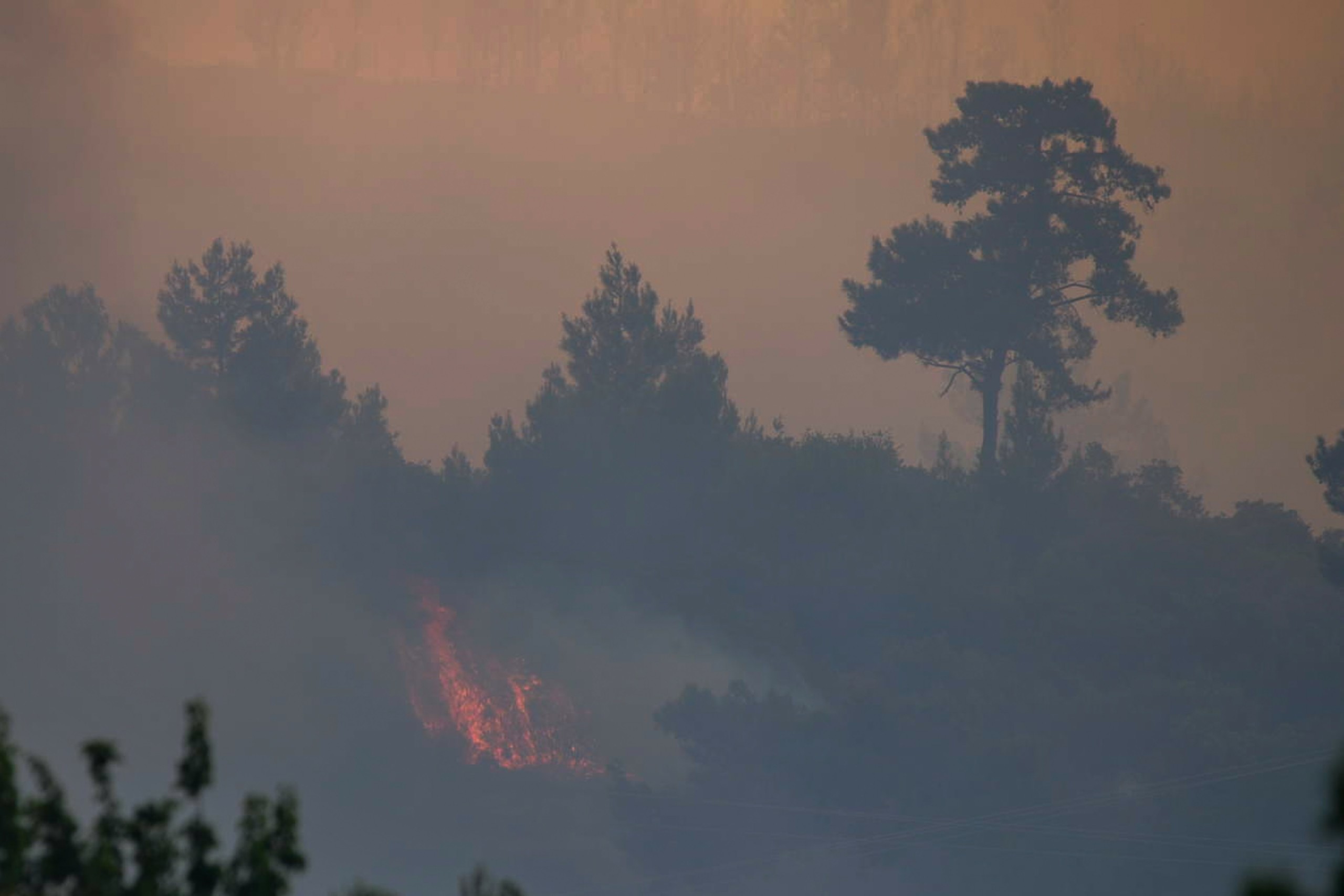 Φωτιά ΤΩΡΑ στη Σάμο κοντά σε μοναστήρι – Επιχειρεί η Πυροσβεστική