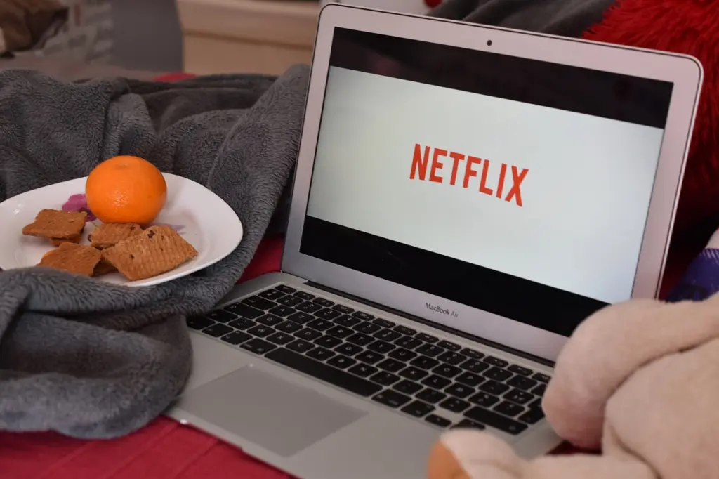 Το Netflix ανέστειλε τη λειτουργία του στη Ρωσία