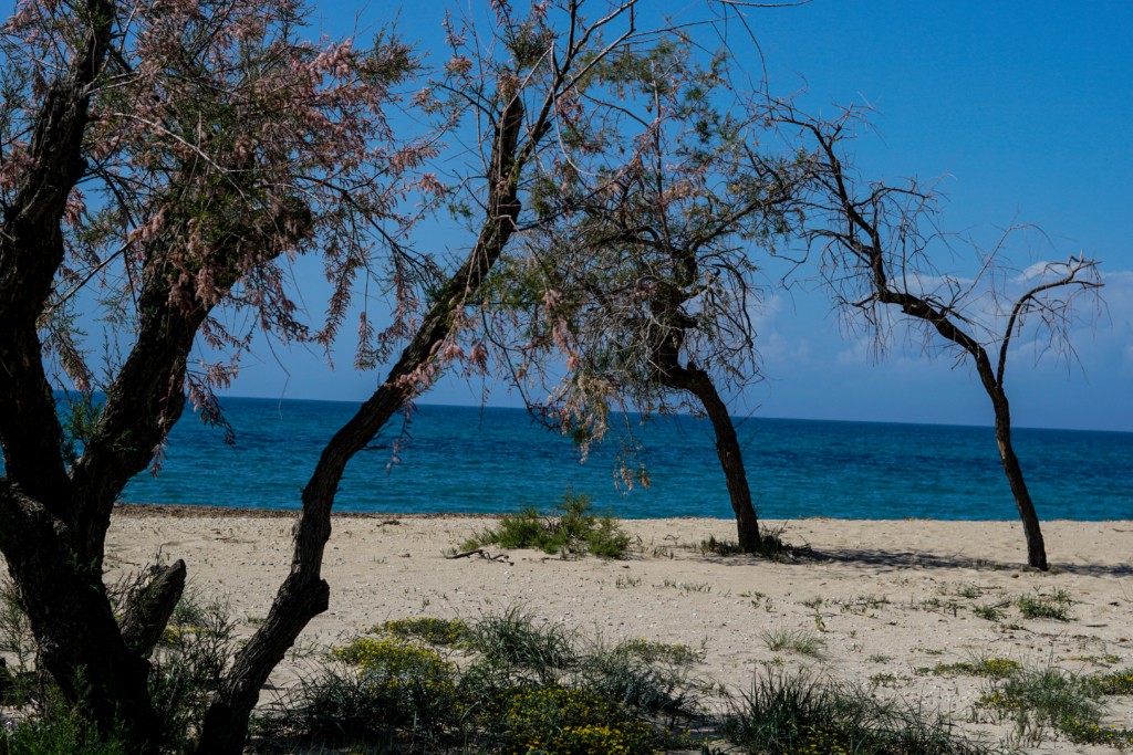 Μικρό καλοκαιράκι με ζέστη και ήλιο την Πέμπτη