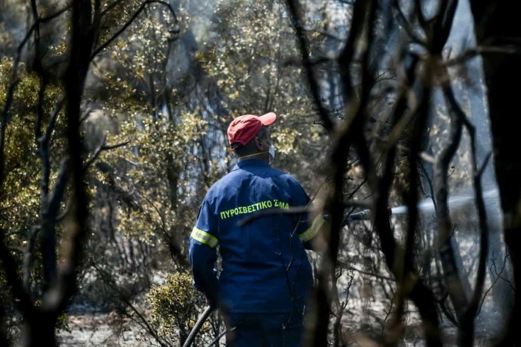 Φωτιά στη Μεταμόρφωση Χαλκιδικής – Ισχυρές δυνάμεις της πυροσβεστικής στο σημείο