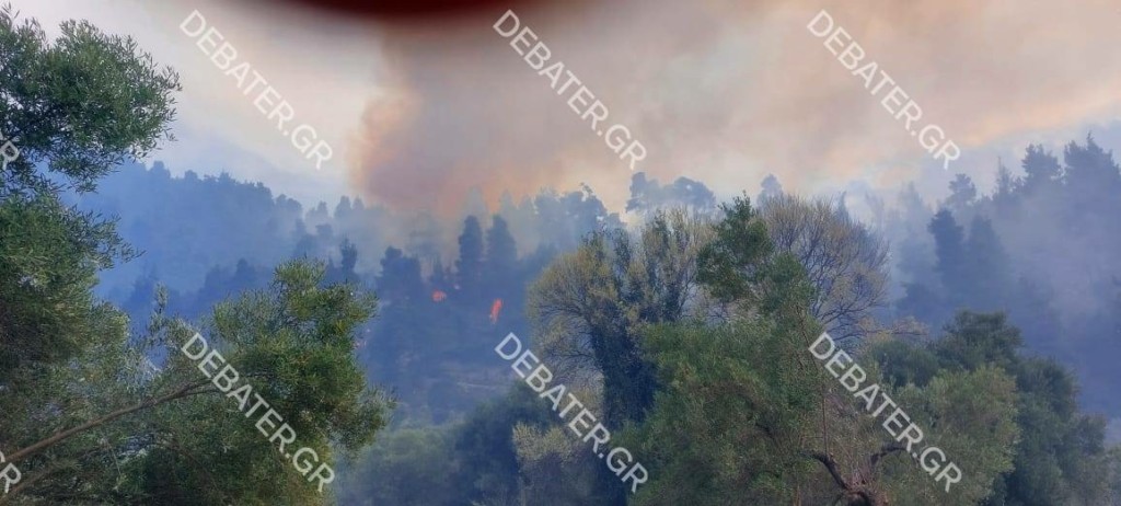 Καλύτερη η εικόνα της φωτιάς στη Χαλκιδική, προβληματίζουν οι ισχυροί άνεμοι – “Πιθανόν ξεκίνησε από ξερά κλαδιά” (pics&vids)