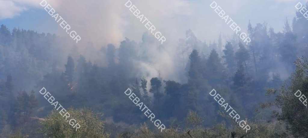 Σε πλήρη εξέλιξη η φωτιά στη Χαλκιδική – Επιχειρούν από ξηράς και αέρος – Δεν απειλείται οικισμός (pics&vids)