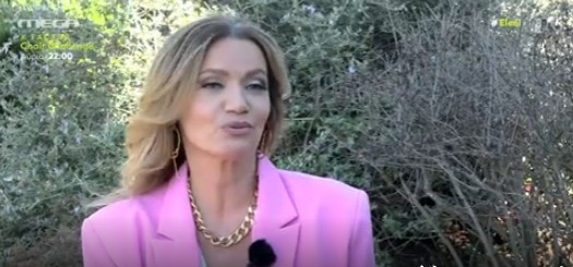 Η ερώτηση που εκνευρίζει την Παναγιώτα Βλαντή, η καριέρα και το παιδί (vid)