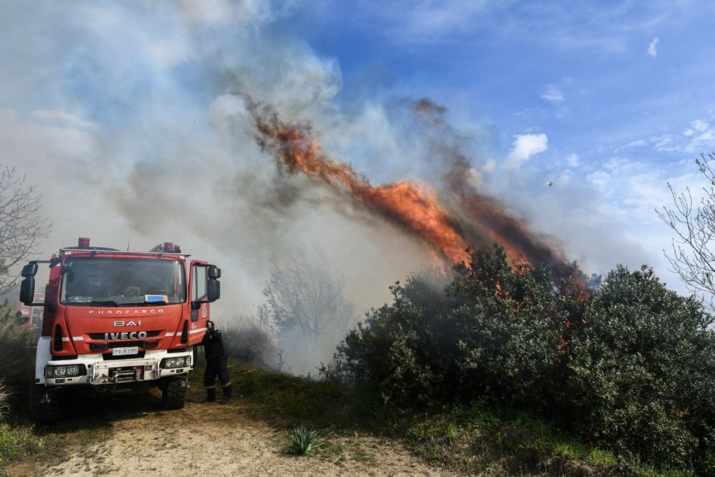 Φωτιά στην Ελευσίνα – Στις φλόγες επιχείρηση εμπορίας ξυλείας